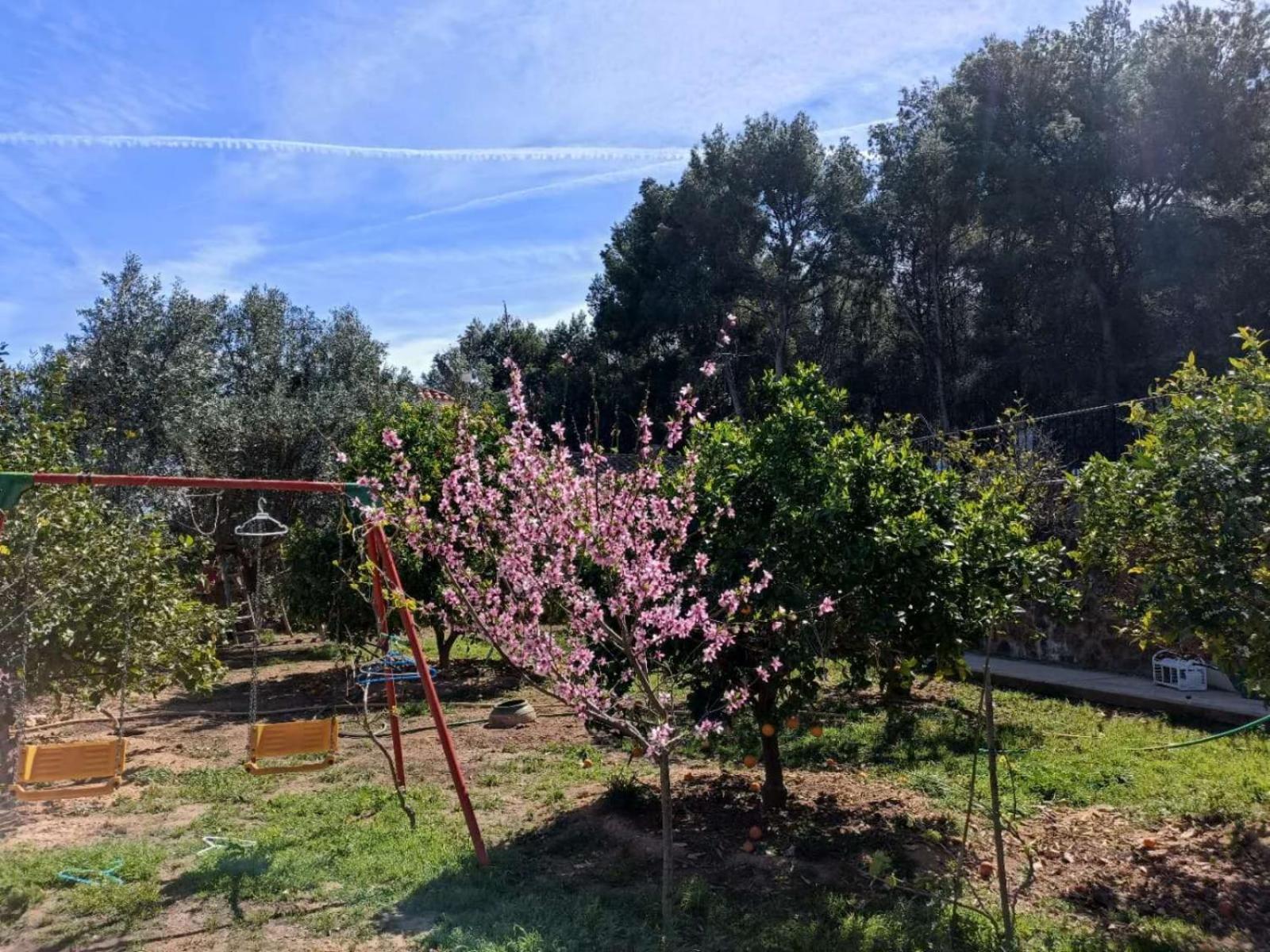Bedroom With Private Bathroom And Two-Bedroom Family Suite In Quiet Forest Country House 80M2 Large Swimming Pool Music Town Lliria The Garden And Swimmingpool And Garden Are Shared Exterior photo